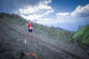 BIB: 5036
                            <button type="button" onclick="openModal(15955196)" class="btn btn-primary btn-sm float-right btn-popup" data-toggle="modal" data-target=".modal-high-quality">
                        <i class="fas fa-shopping-cart"></i> Add to Cart
                    </button>
                                            <button type="button" onclick="isThisMe(15955196, true)" class="btn btn-success btn-sm float-right btn-popup btn-isme hidden" data-toggle="tooltip" data-placement="bottom" title="นี่คือรูปของคุณใช่ไหม คลิกที่นี่เพื่อเอาเข้าอัลบั้ม">
                        <i class="fas fa-plus"></i> Add to album
                    </button>
                    <button type="button" onclick="isThisMe(15955196, false)" class="btn btn-warning btn-sm float-right btn-popup btn-isnotme hidden">
                        <i class="fas fa-ban"></i> Remove from album
                    </button>